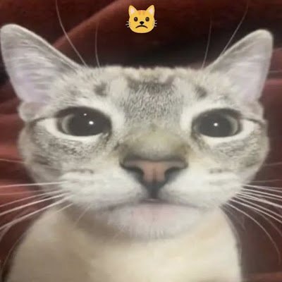 fds11133's profile picture. ᶻ 𝘇 𐰁