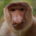 Degen_Monkey (@degen_monkey94) Twitter profile photo Degen_Monkey (@degen_monkey94) Twitter profile photo