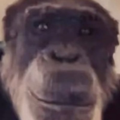 CarlosH4815597's profile picture. 