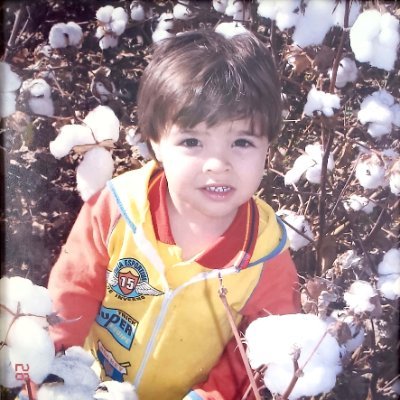 Luísさんのプロフィール画像