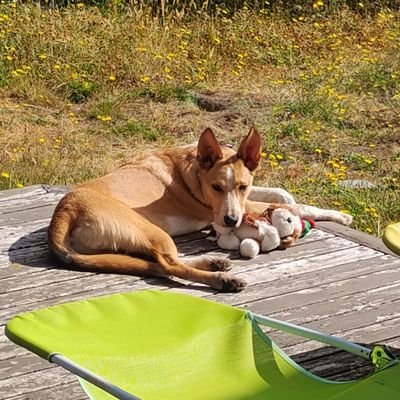 innernette_'s profile picture. hey