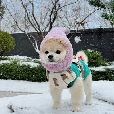 DthbHite32's profile picture. Smart contract developer pushing protocol limits