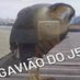 Pereira (@pereira843973) Twitter profile photo Pereira (@pereira843973) Twitter profile photo