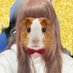みれい@ドモンラブ (@mireidomon1215) Twitter profile photo みれい@ドモンラブ (@mireidomon1215) Twitter profile photo