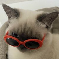 𝙯𝙚𝙧𝙤 (@zeroxvvx) 's Twitter Profile