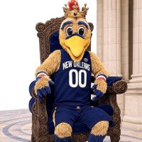 ThePelicanFlock (@thepelicanflock) 's Twitter Profile