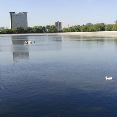 EG22_S's profile picture. 