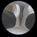 RSD🕊️ (@drkbigbass) Twitter profile photo RSD🕊️ (@drkbigbass) Twitter profile photo
