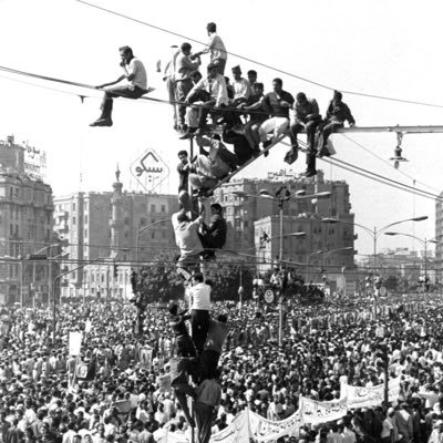 SeifTonssy's profile picture. 21