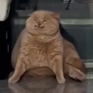 doumoudayone's profile picture. 21歳 フリーター ヒモ res HoneyWorks res 自由意志 res 力なき民 res エイム