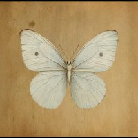 Dane.he (@dane_he20) 's Twitter Profile