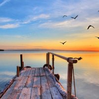 alexmax (@visssstawei) 's Twitter Profile