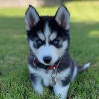 FEIN (@feinofcrypto) 's Twitter Profile