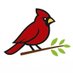 Red Cardinal News (@redcardinalco) Twitter profile photo Red Cardinal News (@redcardinalco) Twitter profile photo