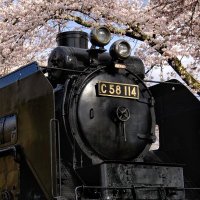 【公式】一般社団法人 鉄道文化連結会(陸羽東線シゴハチ歴史保存会・岩出山城山SL保存会) (@c58project) 's Twitter Profile