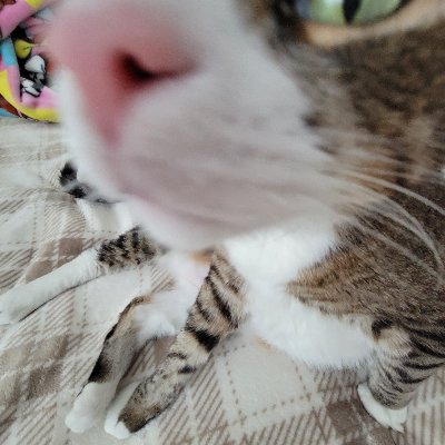 katiさんのプロフィール画像