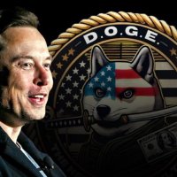 Elon Musk ✴️ (@elon_musk_dogs) 's Twitter Profile