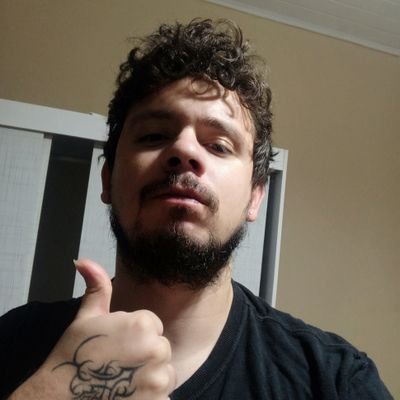 programador (em tempo integral)
músico (as vezes)
criador de felinos em geral
amante de tamanduás bandeiras