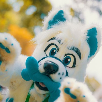 ° Samoyed ° 🏳️🌈 ° He/They ° #ShootooSquad ° Profound Good Dog 🐶🐾 °