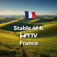 Stable Iptv France (@thewolf18343101) 's Twitter Profile