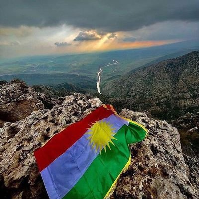 yusufgoran2's profile picture. 