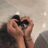 ･ (@lvth_s2) Twitter profile photo