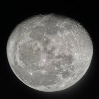 wajd (@wajd137) Twitter profile photo