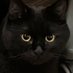 如如 (@79sru) Twitter profile photo 如如 (@79sru) Twitter profile photo