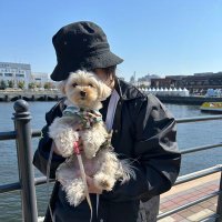 やまかわ【Lulun_handmade】 (@luludecoration) Twitter profile photo