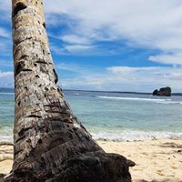 Rechterzijde 🇳🇱 🇸🇻 (@genoegenklaar2) 's Twitter Profile