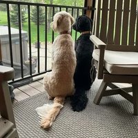 Khan Hector (@khan_hecto65867) 's Twitter Profile