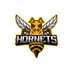 Hornets Gaming (@hornetsgamingr6) Twitter profile photo Hornets Gaming (@hornetsgamingr6) Twitter profile photo