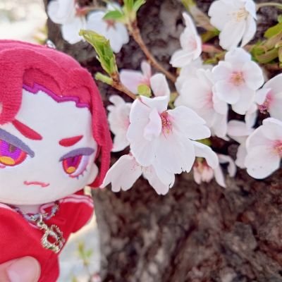 たずき。さんのプロフィール画像