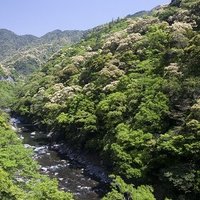 綾町地域おこし協力隊 (@ayatownouentai) Twitter profile photo