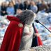Mayor Ratty Ratterson (@ratmayorofbham) Twitter profile photo Mayor Ratty Ratterson (@ratmayorofbham) Twitter profile photo