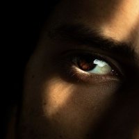 WANIMAL (@samsonginsh) 's Twitter Profile
