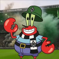Jannik 🖤🤍💚 (@bmg_jannik) Twitter profile photo