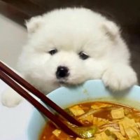 ✮ (@fa17me) 's Twitter Profile Photo