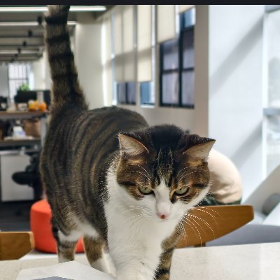 rebooter_s's profile picture. https://t.co/MuvtbFt4hN Founder | SQL Optimization • AI • Database Management