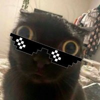 SeL4 (@sel4ds) 's Twitter Profile