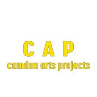 Camden Arts Projects (@camdenarts176) 's Twitter Profile