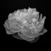 𝐃 𝐄 𝐍 𝐈 𝐒 𝐀. (@icyyskin) Twitter profile photo 𝐃 𝐄 𝐍 𝐈 𝐒 𝐀. (@icyyskin) Twitter profile photo