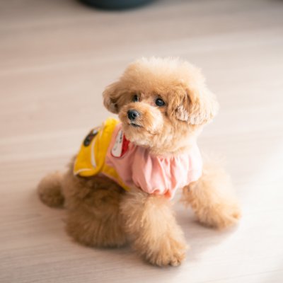 YUKI31668054617's profile picture. MMA！推しファイターが勝ったら人生うまくいくタイプです🙋‍♀️