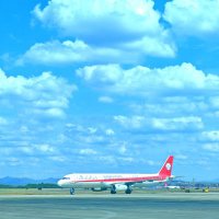 庞巴迪 (@pangbadi) 's Twitter Profile