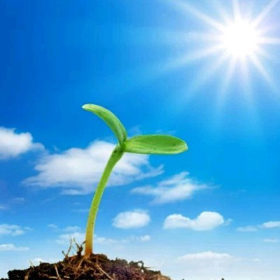 xiaofeng_bytes's profile picture. 