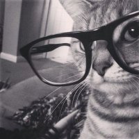 Aykem (@aykem124) 's Twitter Profile Photo Aykem (@aykem124) 's Twitter Profile Photo