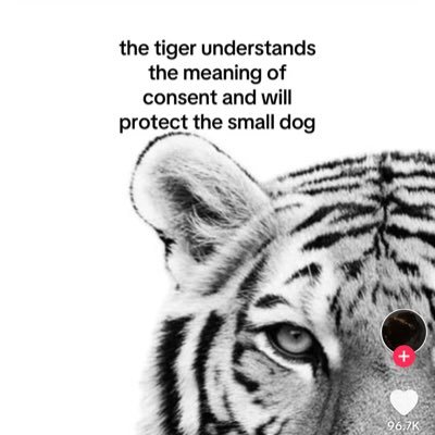 yongzenn's profile picture. 