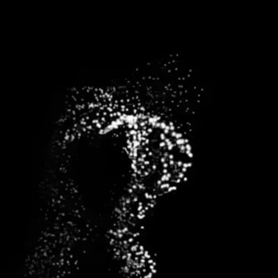 davidkavaler's profile picture. I'm a portrait photographer and director.