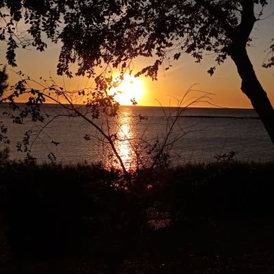 @SistemOp31