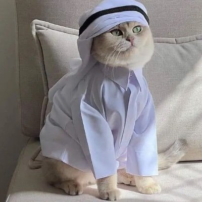 Abdulrahma40042's profile picture. Airdrops//crypto//everything web3